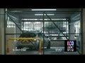 Good Cop DVD Preview