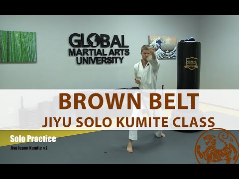 Shotokan - 1st Kyu Brown Belt - Solo Kumite Practice thumbnail