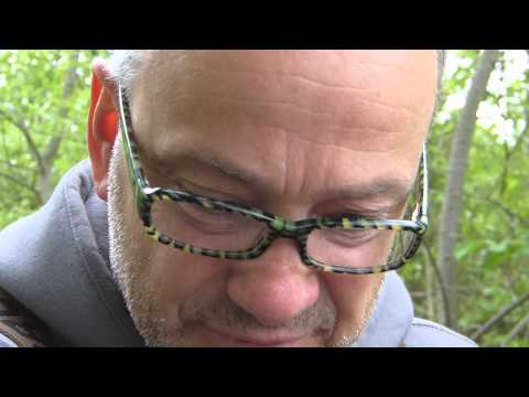 Karpfenangeln 134 Videotagebuch MLotz - Karpfen beim Fressen