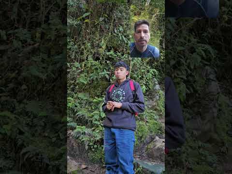 bosque #pandora #pandoraforest , el peñol Santander