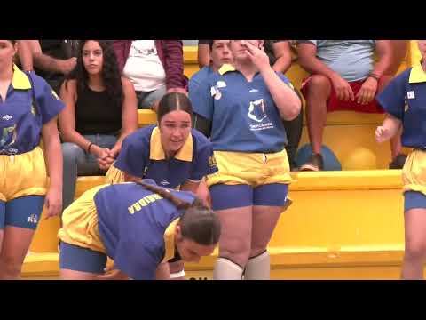 LUCHA CANARIA  BREGANDOXLALUCHA Finales  Castro Morales Maninidra y Santa Rita Castro Morales 30 06