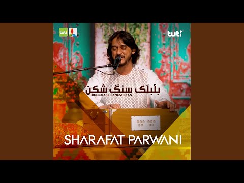 Bulbulake Sangshekan