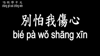 【唱歌學中文】►張信哲 – 別怕我傷心◀ ► zhāng xìn zhé - bié pà wǒ shāng xīn◀『一顆愛你的心 時時刻刻為你轉不停』【動態歌詞中文、拼音Lyrics】