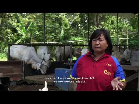 Cattle of Hope – (English Subs)