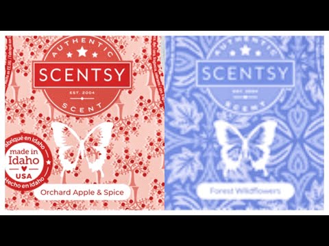 Tester Tuesday Orchard Apple & Spice and Forest Wildflowers (Scentsy Reviews) # 163