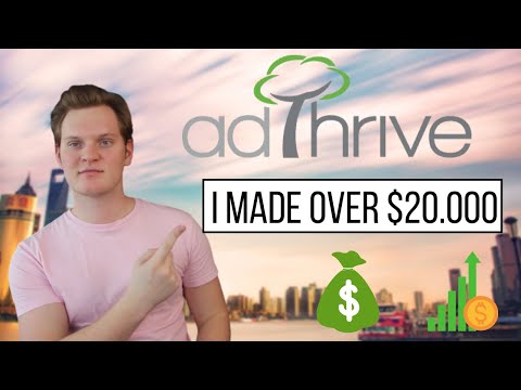 My Experience With AdThrive (Revealing My $20.000+ AdThrive Income)