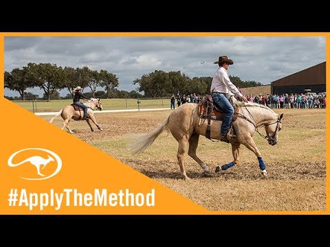 Training on a Budget: Incorporating the Cloverleaf Exercise