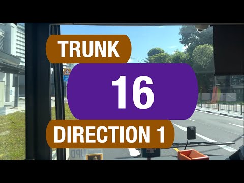 Q16 Bus Schedule