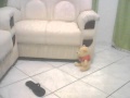 Ursinho Puff Animação Wmv
