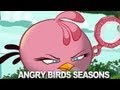 Angry Birds Seasons Meet the Pink Bird 