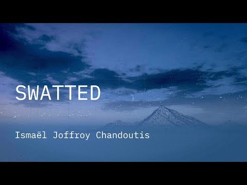 Thumbnail of the video: Competição Internacional 2019 | Trailer | Swatted | Ismaël Joffroy Chandoutis