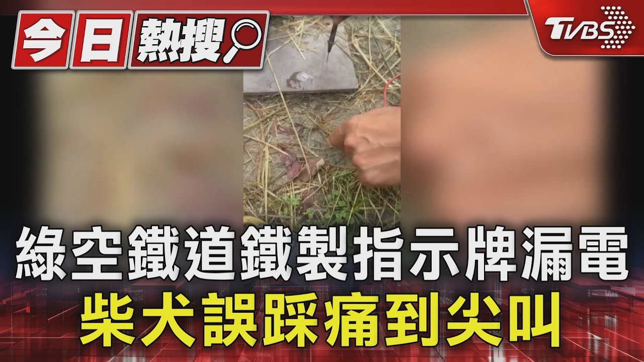 綠空鐵道鐵製指示牌漏電 柴犬誤踩痛到尖叫