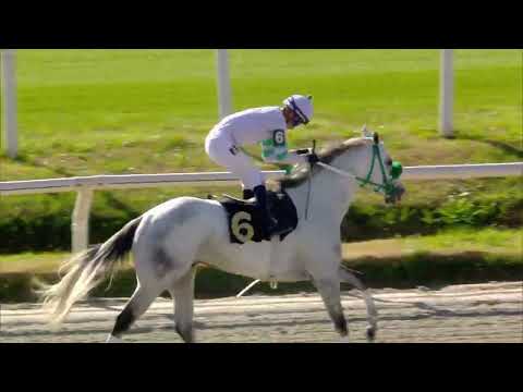 230716 c03 VIN DIESEL