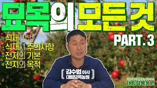 돈 버는 나무농사! 묘목식재와 나무전지 방법을 알려드려요ㅣ [대림묘목농원_묘목특강 part.3]
