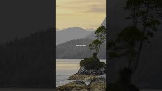 Download lagu ku bahagia kau telah terlahir di dunia mp3 Download lagu ku bahagia kau telah terlahir di dunia mp3