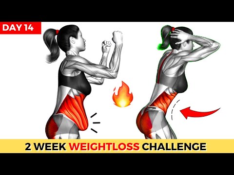 Do This 30 Min Everyday To Lose Weight Belly Fat 2 Weeks Shred Challenge DAY 1