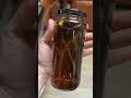 How to make vanilla extract with these vanilla beans by Vanilla Bean Kings