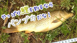 ドブ川フィッシング#2 やっぱりパンプカだな！