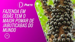Miniatura do vídeo