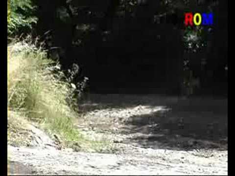 Raliul Sibiului 2008 PS07 Calugaru' 2