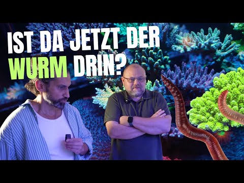 Full to the brim, yet a problem! A visit to Martin's PLC tank – the big update