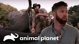 Thumbnail del capítulo