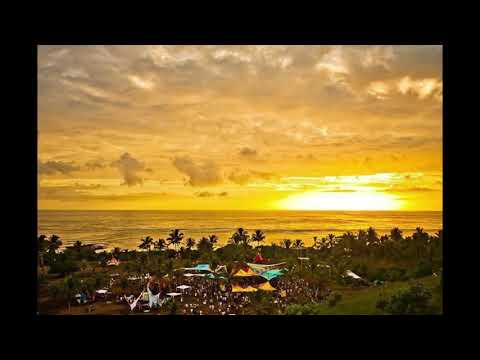 Space Cat & Shanti - The Purist (Vibe Tribe Remix)