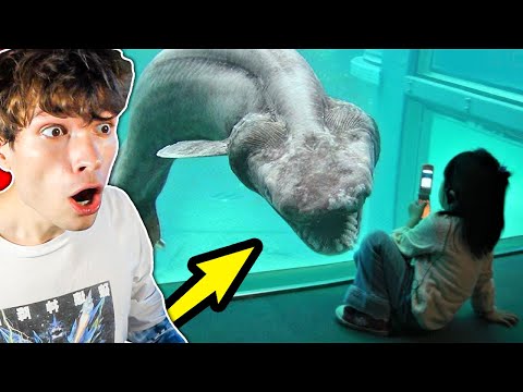 10 ANCIENT CREATURES THAT ARE STILL ALIVE! (I still can't believe it)