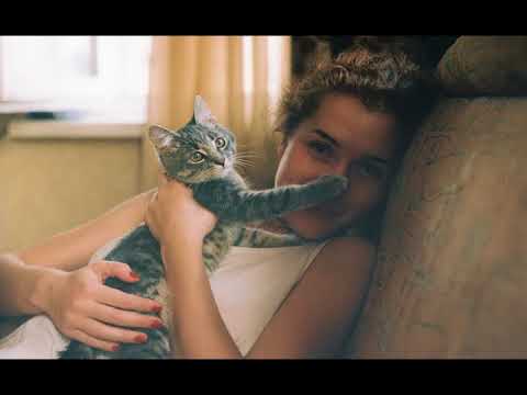 T1One & Mr. Soldier - Оттенки любви