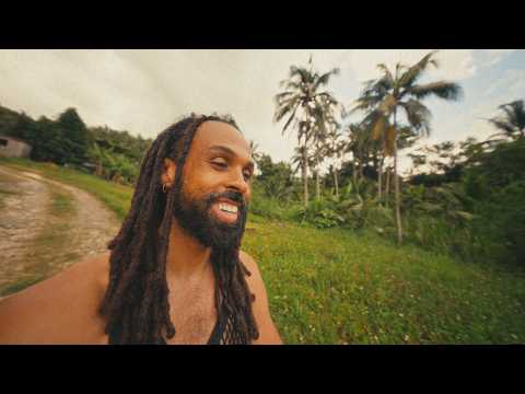 hunting mangos 🥭 In Jamaica , this might be my dream life