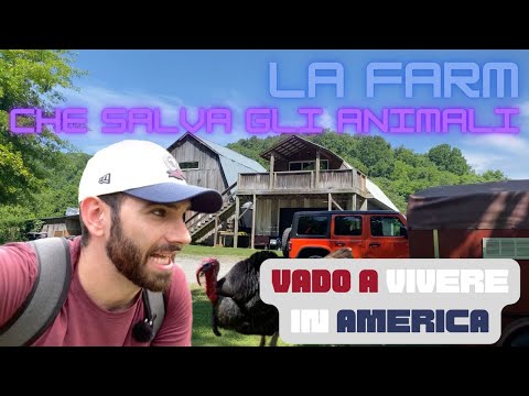 Il lato nascosto degli Stati Uniti che non conosci: la (inaspettata) fattoria che salva gli animali