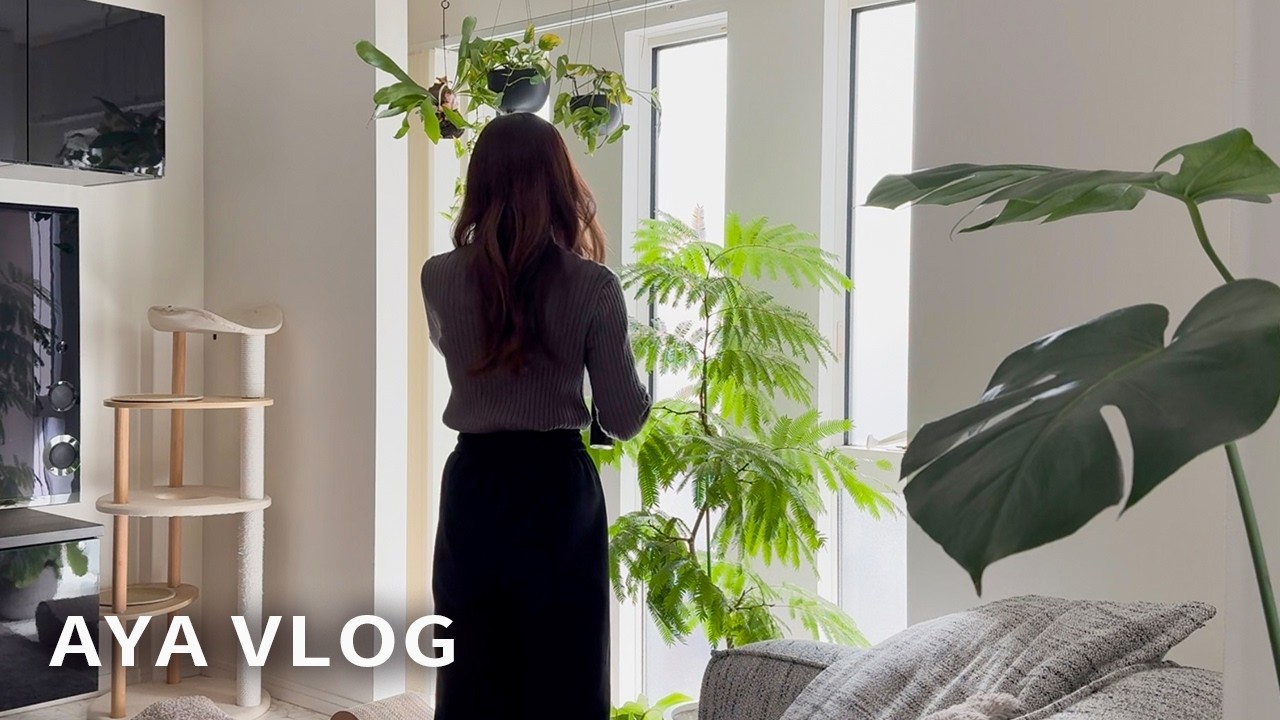 【30代主婦の日常】高校受験の合格発表｜ロピア購入品🛒食洗機交換｜庭の植物🌹子どもと猫との暮らしvlog