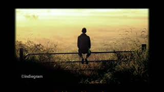 Download lagu Story Wa Indie || The opening (Ketika Senja) mp3