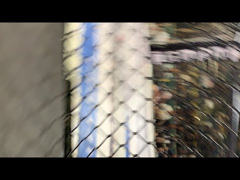 559 Fights 98! Live!