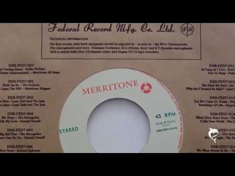 The Gaylettes - I Like Your World