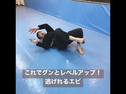 【エビ】たった１つの工夫で、エスケープに自信がつく