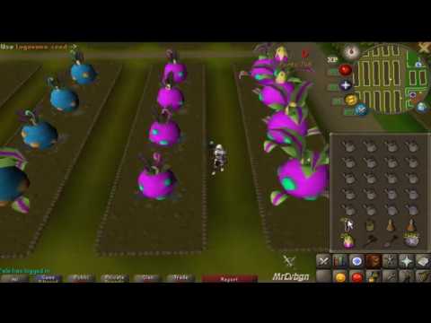 (2018) Tithe Farm rotation (un-edited) - 110k Farming exp / 76 points per hour