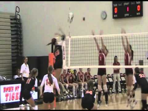 Versailles and NK volleyball II