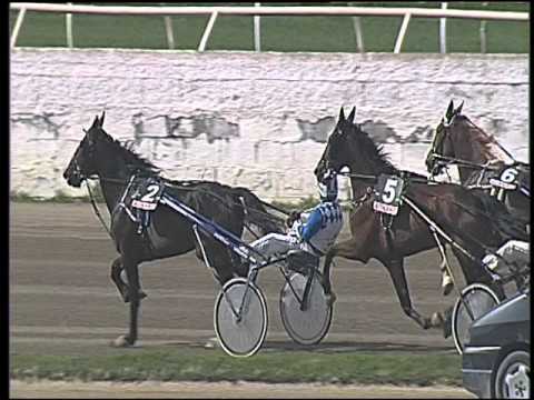 Trotto 03/04/2016 - 2° Corsa