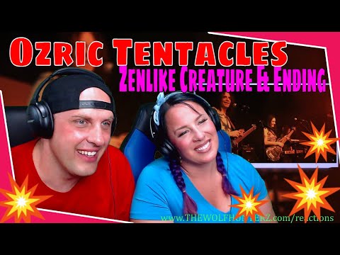 Zenlike Creature & Ending - Ozric Tentacles Live @ Le Badaboum (12 of 12) THE WOLF HUNTERZ REACTIONS