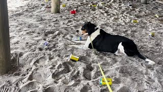 SCUMS TRASH THE BEACH IN NORTH WILDWOOD NJ!