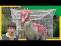 Uncovering Dino Mysteries Can Dan Capture A Rare Dinosaur Species Dino Dan D̰I DinoKids