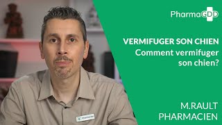 Comment vermifuger son chien?
