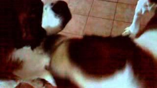 MOV02796