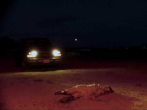 Chloe Lilac - Sabotage (Visualizer)