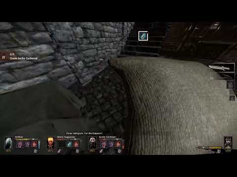 Vermintide - Supply and Demand Cataclysm (Saltzpyre Falchion* / Brace of Pistols*)