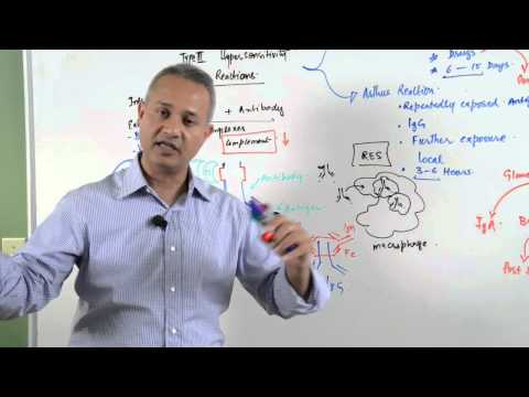 Immunology lecture 15 - Type III Hypersensitivity Reactions 5/6