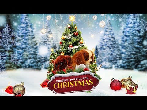 Tráiler Operación Cachorro [WEB-DL] 2019