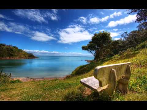 Sebastian Brandt Presents Guised - Never Alone (Onova Remix)