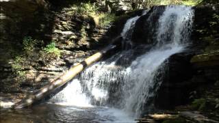 preview picture of video 'Shawnee Falls, Ricketts Glen State Park, Benton, PA'